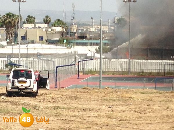 fireramlasejn4288 (42).JPG